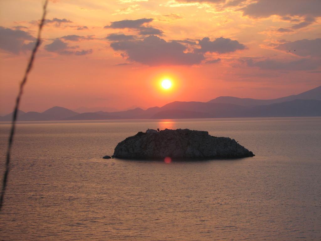 Villa Hydra Erato *