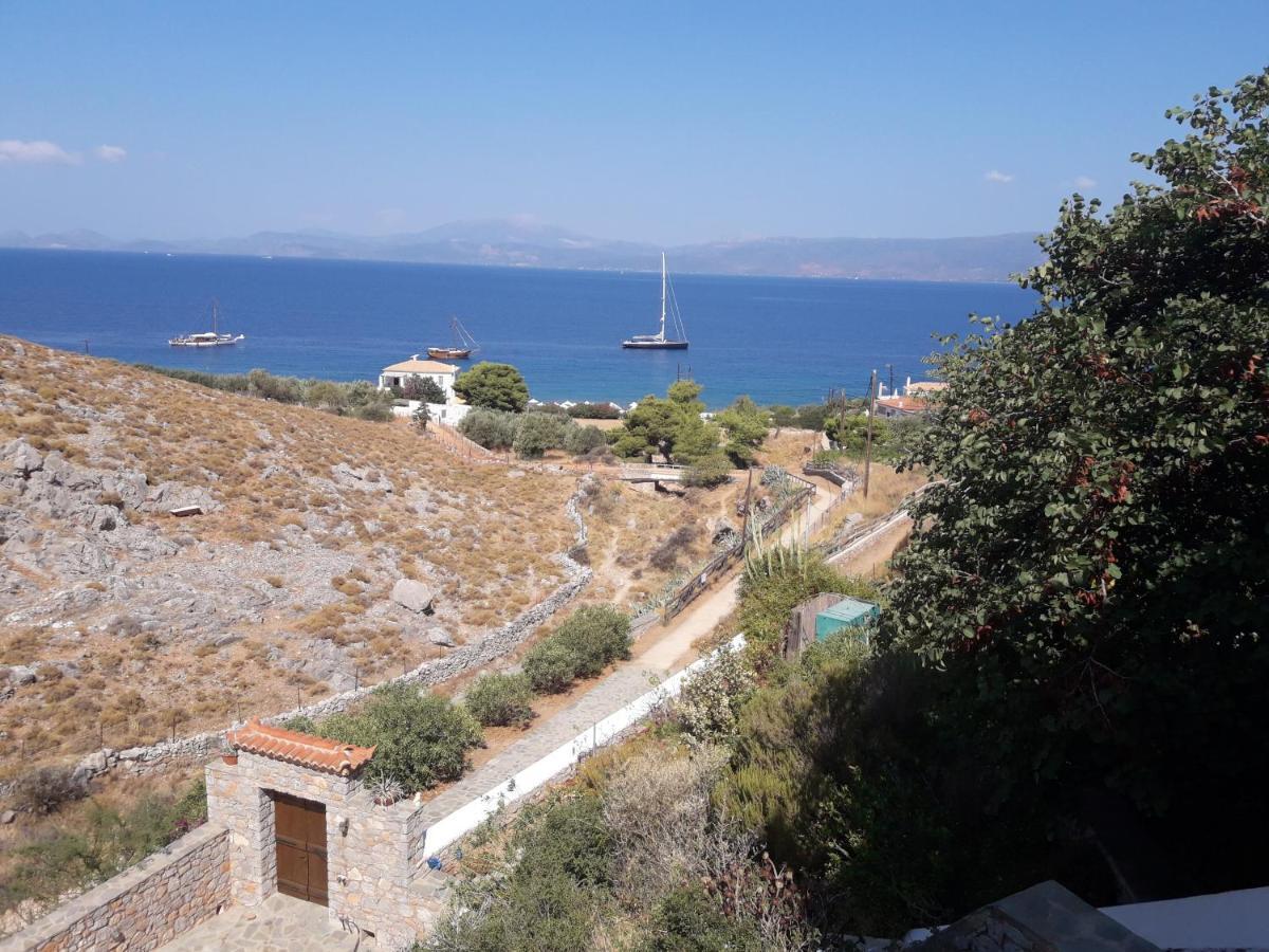 Hydra Erato